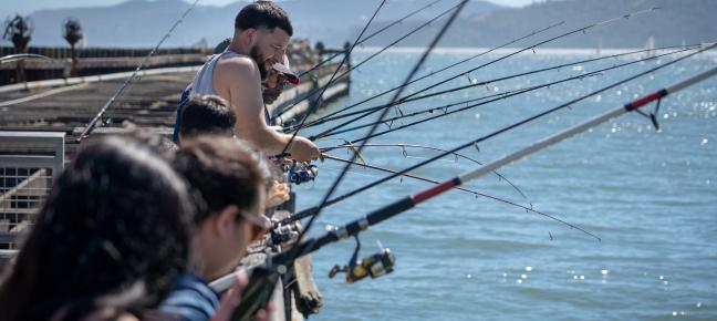 Fishing on the Bay