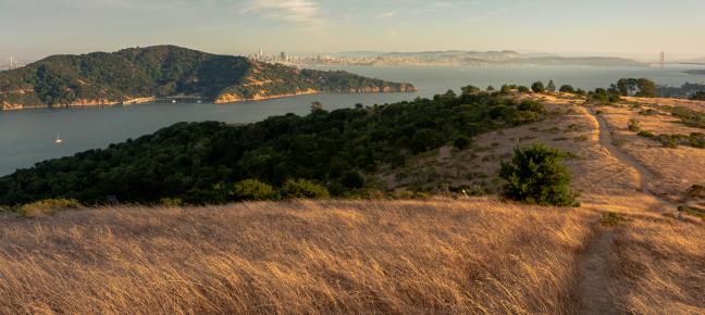 Angel Island