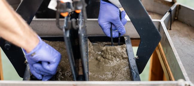 Sediment Cruise1