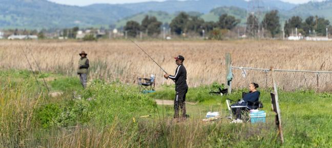 Fishing in the Bay
