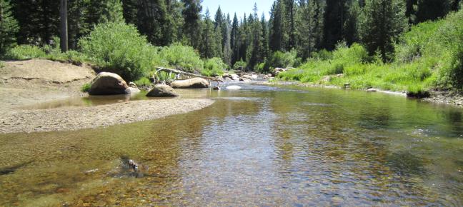 stream