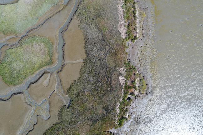 Marsh from UAS device