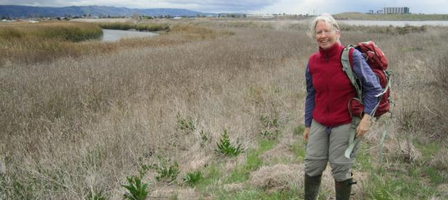 person standing in a wetland