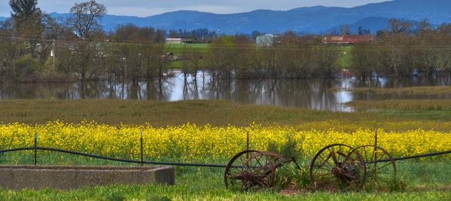 field