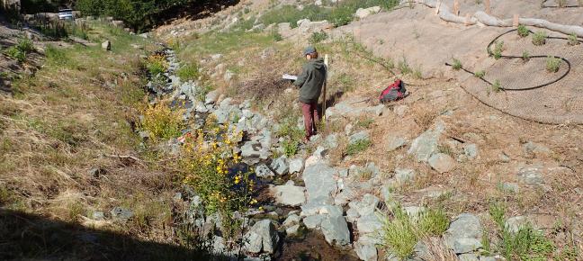 Person walking by a creek