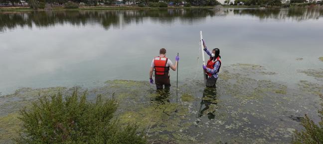 Sampling in San Leandro Marsh