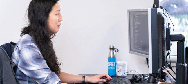 SFEI Team