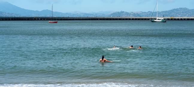 People swimming