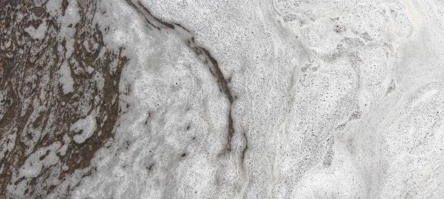 Frothy film on the surface of water