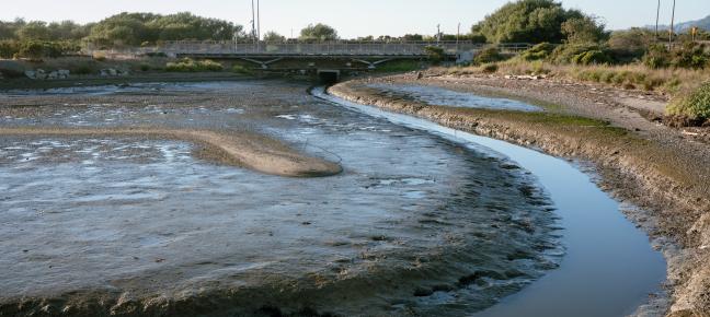 Strawberry creek