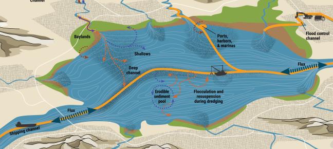 sediment dynamics model