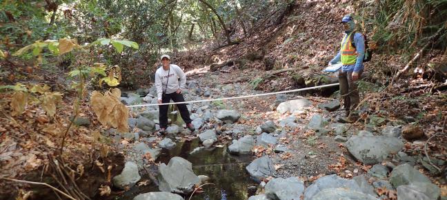 People assessing a stream