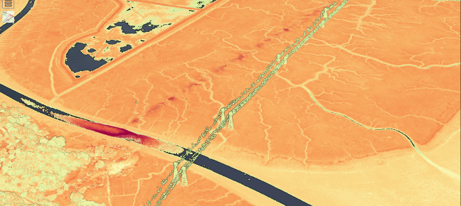 A screenshot of a lidar point cloud from China Camp area