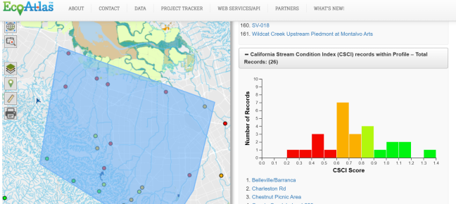 CSCI visualization
