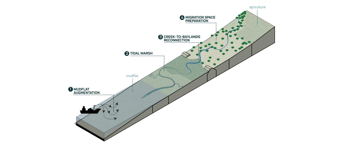 Axon of nature-based adaptation