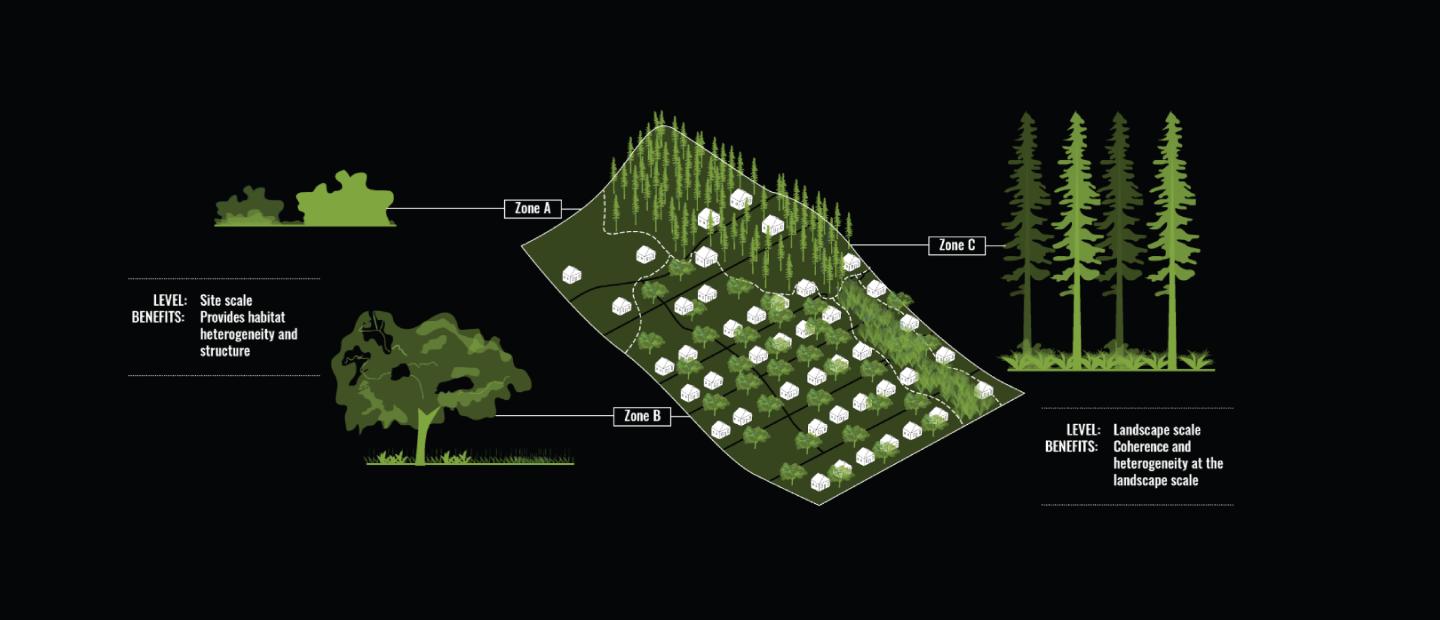 Illustration of urban greening approaches