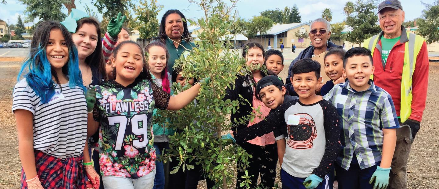 Kids planting a tree