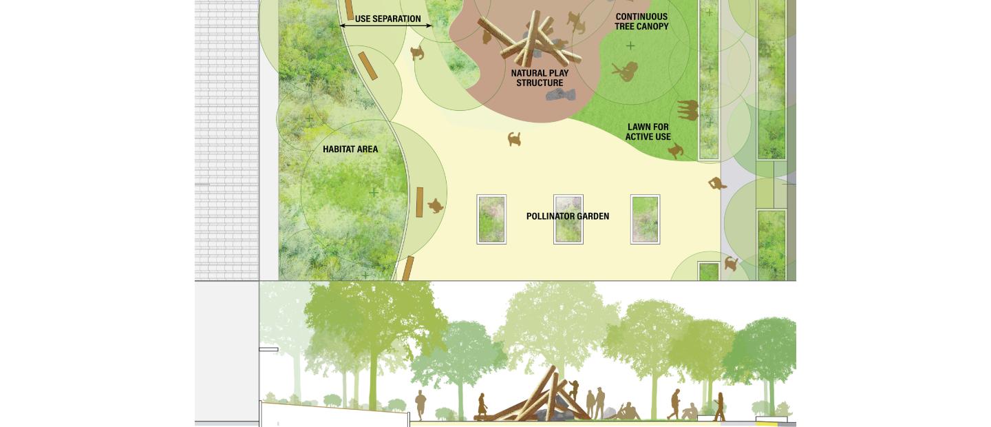 Plan view and section view of an landscape design
