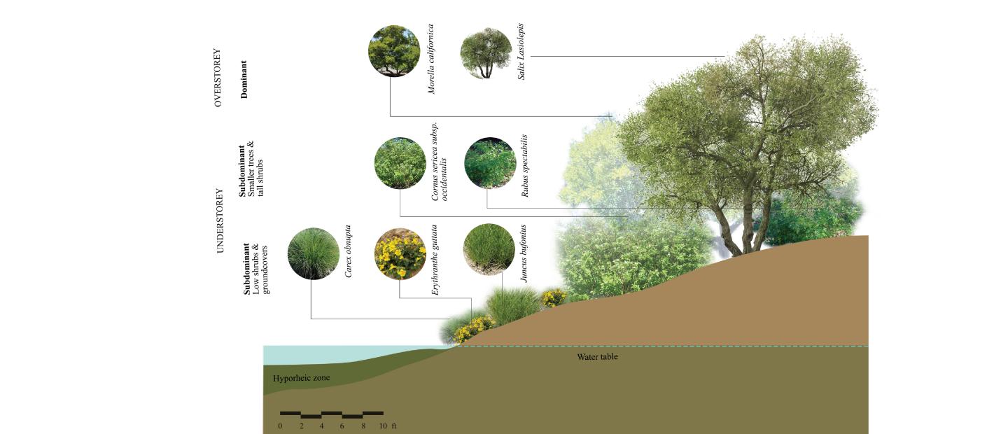 Section of planting types