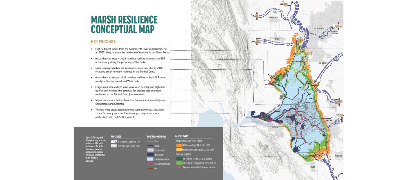 Marsh resilience conceptual map