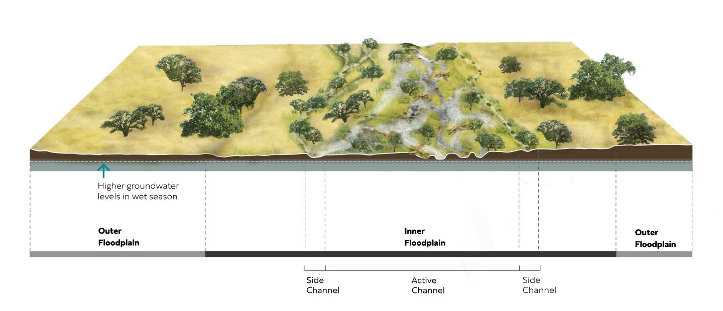 Landscape graphic