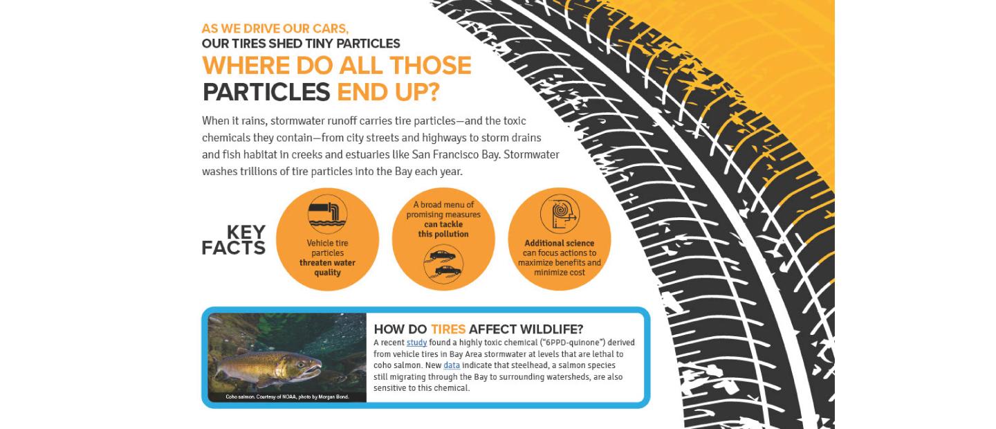 Informational flier about tire particles with images of a salmon and a tire print