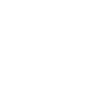 activism icon