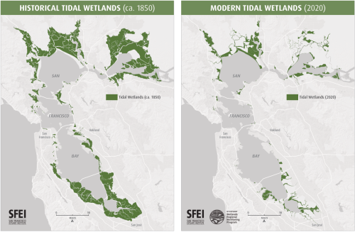 2 page factsheet with maps of tidal wetlands ca. 1850 and 2020