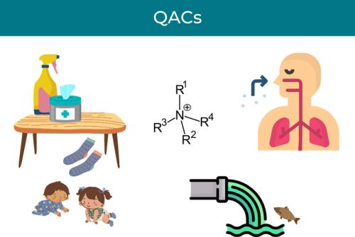 Graphical abstract