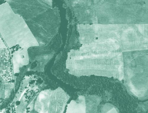 LagunadeSantaRosa_HistAerials_1942_v2.jpg