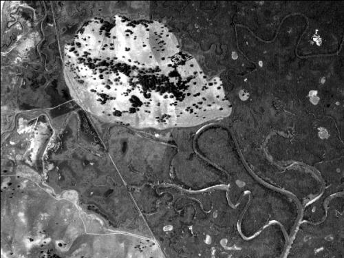 PetalumaAerials1942.jpg