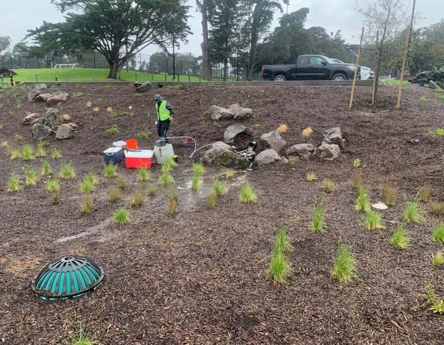 Crocker Amazon green stormwater infrastructure