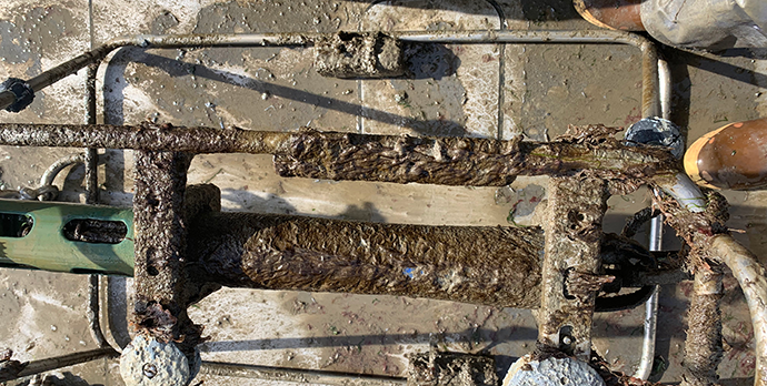 Fouled sonde
