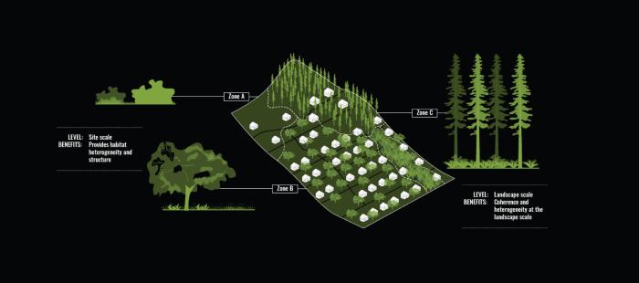 Illustration of urban greening approaches
