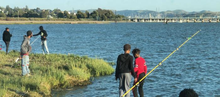 Kids at the Bay