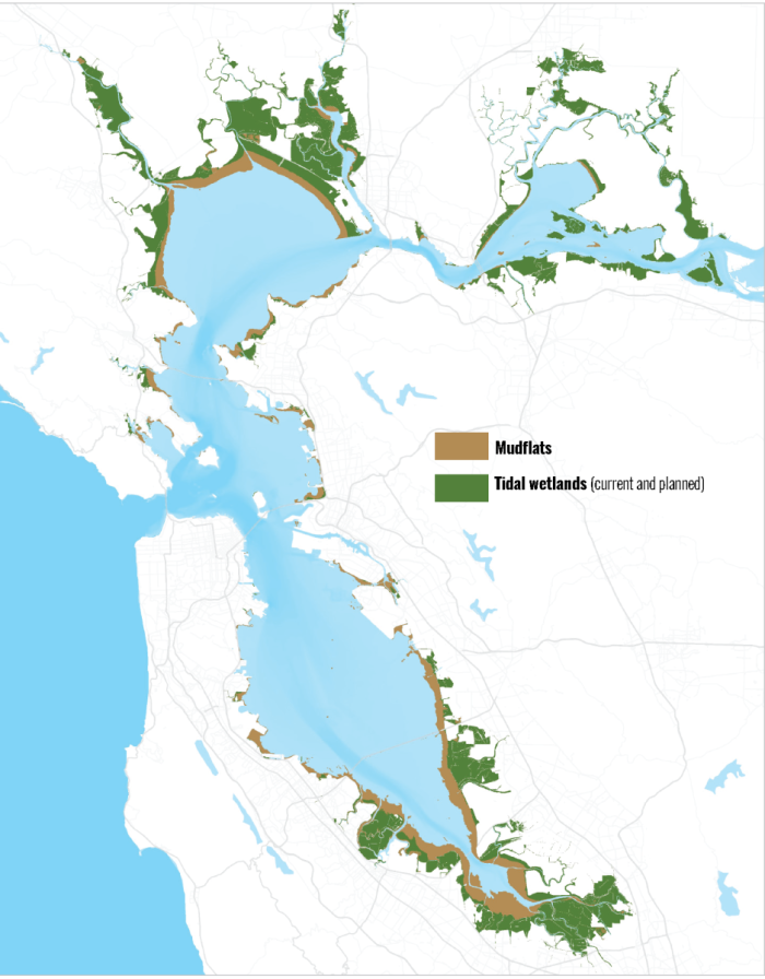 map of marshes and mudflats