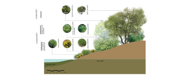Section of planting types
