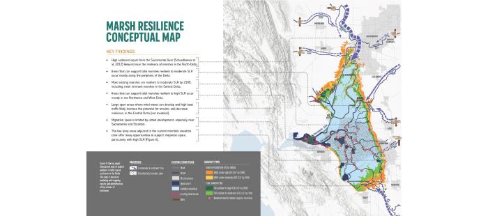 Marsh resilience conceptual map