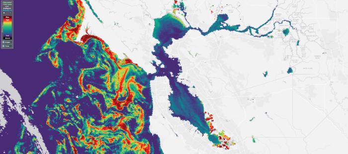Map of harmful algal blooms in San Francisco Bay 