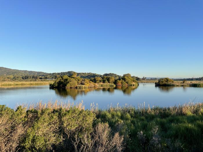Detention pond