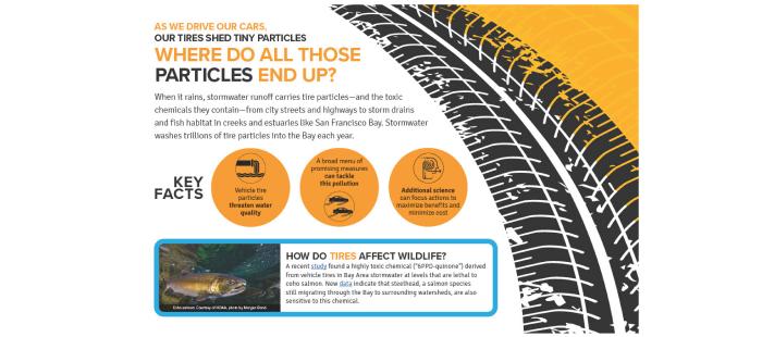 Informational flier about tire particles with images of a salmon and a tire print