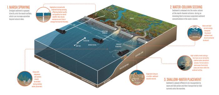 Illustration of a marsh with different sediment placement approaches