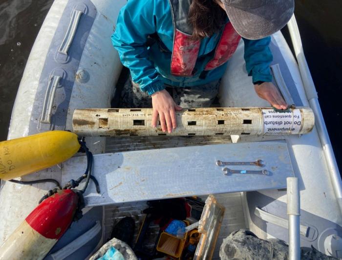 monitoring for phytoplankton
