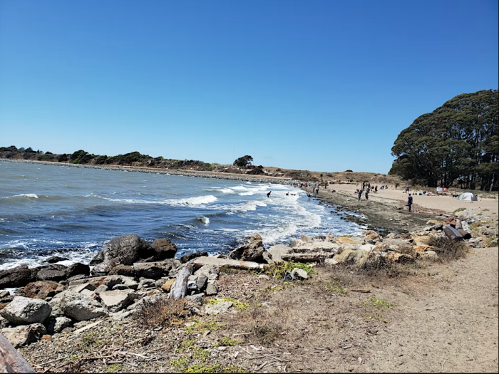 the Albany Bulb