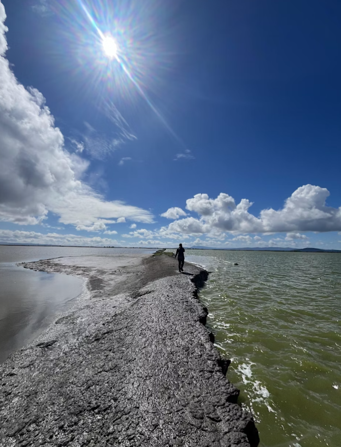 walking in the bay