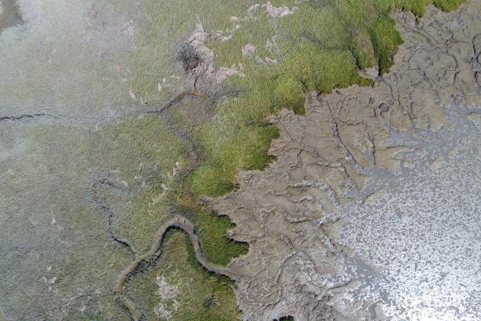 Corte Madera marsh edge aerial image