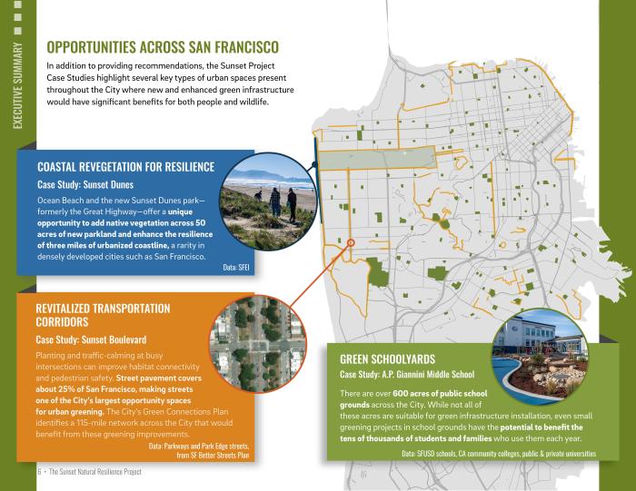 Executive Summary Map for the Newsletter