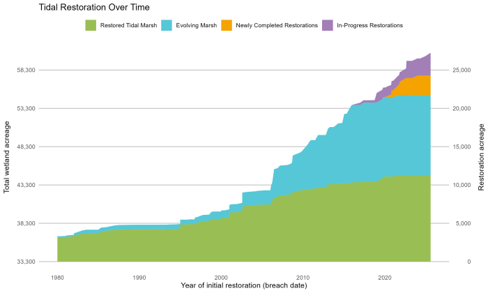 Tidal Restoration Over Time (1980-2025)