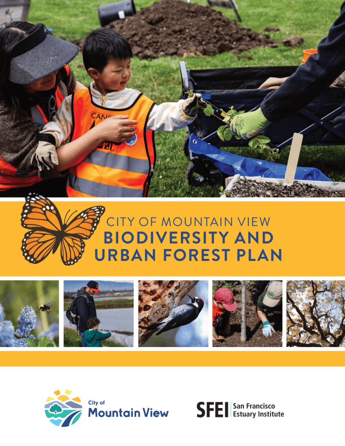 Cover of report reading City of Mountain View Biodiversity and Urban Forest Plan