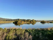 Detention pond
